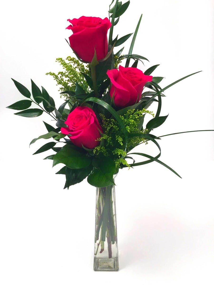 3 roses in vase