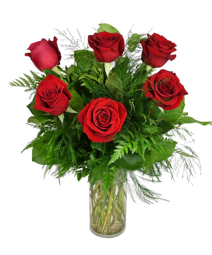 Half Dozen Roses in Vase